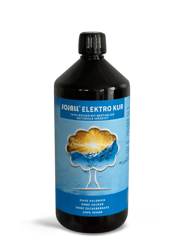BIO Sojall Elektro Kur 1000ml - Salzburger Ölmühle e.U.