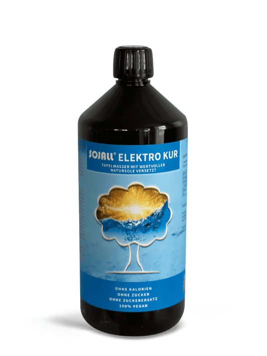 BIO Sojall Elektro Kur 1000ml - Salzburger Ölmühle e.U.